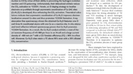 Asymmetric_Coordination_Induces_Electron_Localization_at_Ca_Sites_for_Robust_CO2_first_page