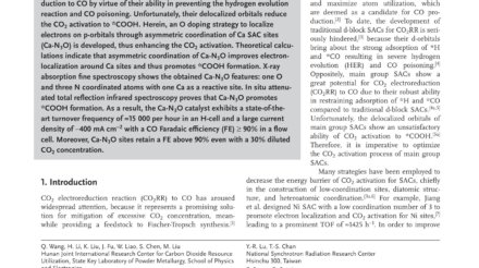 Asymmetric_Coordination_Induces_Electron_Localization_at_Ca_Sites_for_Robust_CO2_first_page