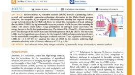 Boosting_Nitrogen_Activation_via_Ag_Nanoneedle_Arrays_for_Efficient_Ammonia_Synthesis_first_page