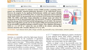 Boosting_Nitrogen_Activation_via_Ag_Nanoneedle_Arrays_for_Efficient_Ammonia_Synthesis_first_page