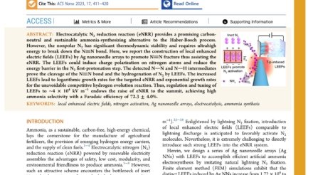 Boosting_Nitrogen_Activation_via_Ag_Nanoneedle_Arrays_for_Efficient_Ammonia_Synthesis_first_page