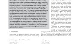 Controlling_Plasmonic_Chemistry_Pathways_through_Specific_Ion_Effects_first_page