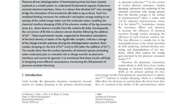 Controlling_Plasmonic_Chemistry_Pathways_through_Specific_Ion_Effects_first_page