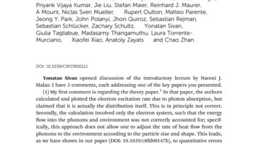 Dynamics_of_hot_electron_generation_in_metallic_nanostructures-general_discussion_first_page_2_page-0001