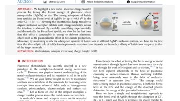 Fermi_Level_Equilibration_at_the_Metal−Molecule_Interface_in_Plasmonic_Systems_first_page_page-0001