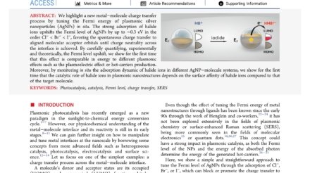 Fermi_Level_Equilibration_at_the_Metal−Molecule_Interface_in_Plasmonic_Systems_first_page_page-0001