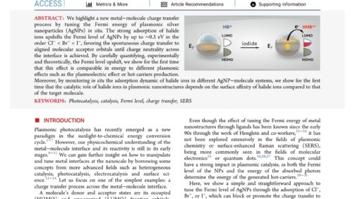 Fermi_Level_Equilibration_at_the_Metal−Molecule_Interface_in_Plasmonic_Systems_first_page_page-0001