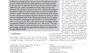 Ligand_Engineering_in_Nickel_Phthalocyanine_to_Boost_the_Electrocatalytic_Reduction_of_CO2_first_page