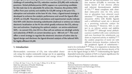 Ligand_Engineering_in_Nickel_Phthalocyanine_to_Boost_the_Electrocatalytic_Reduction_of_CO2_first_page