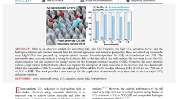 Ordered_Ag_Nanoneedle_Arrays_with_Enhanced_Electrocatalytic_CO2_Reduction_via_Structure-Induced_Inhibition_of_Hydrogen_Evolution_first_page
