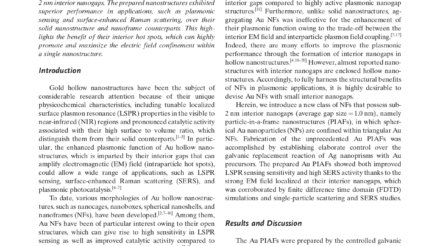 Particle_in_a_Frame_Nanostructures_with_Interior_Nanogaps_first_page_page-0001