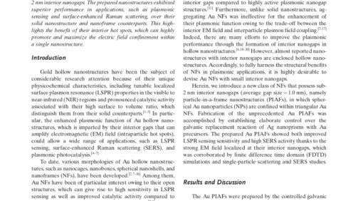 Particle_in_a_Frame_Nanostructures_with_Interior_Nanogaps_first_page_page-0001