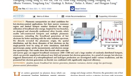 Self-Constructed_Multiple_Plasmonic_Hotspots_on_an Individual_Fractal_to_Amplify_Broadband_Hot_Electron_Generation_first_page_page-0001