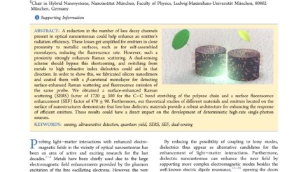 Surface-Enhanced_Spectroscopies_of_a_Molecular_Monolayer_in_an_All-Dielectric_Nanoantenna_first_page_page-0001