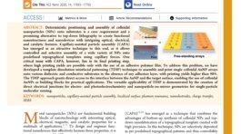 Template_Dissolution_Interfacial_Patterning_of_Single_Colloids_for_Nanoelectrochemistry_and_Nanosensing_first_page_page-0001