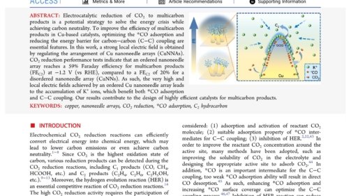 Vertical_Cu_Nanoneedle_Arrays_Enhance_the_Local_Electric_Field_Promoting_C2_Hydrocarbons_in_the_CO2_Electroreduction_first_page