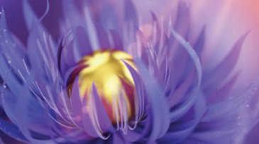 14-Cover ACS Nano 2024