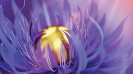 14-Cover ACS Nano 2024